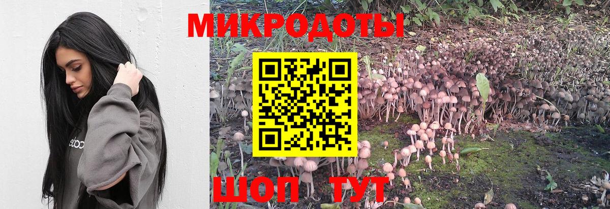 Псилоцибиновые грибы Magic Shrooms  Вход с VPN  Новочеркасск 